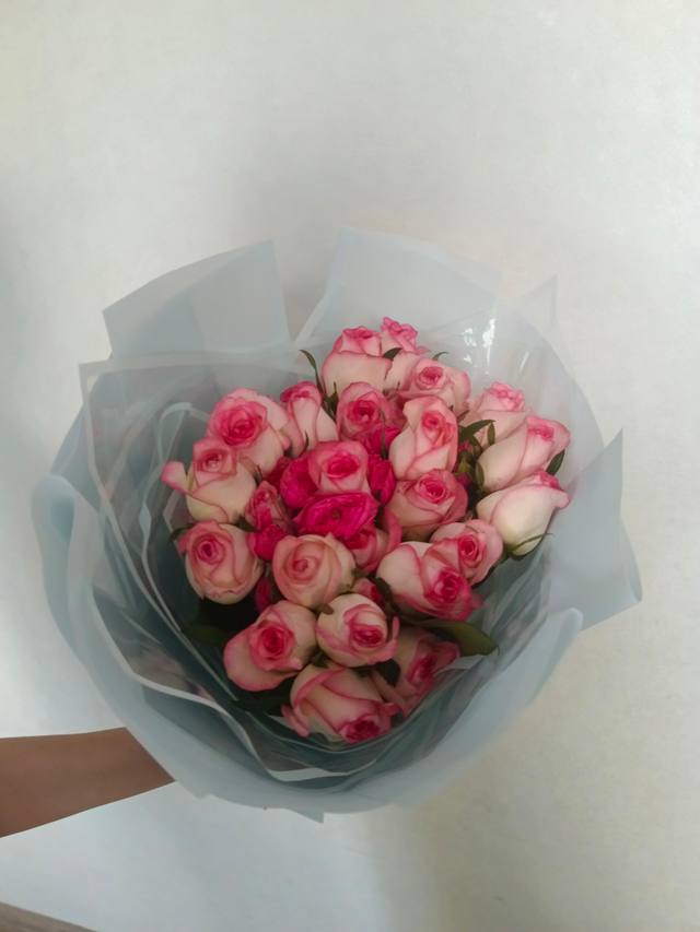 Букет: Букет из 25 роз